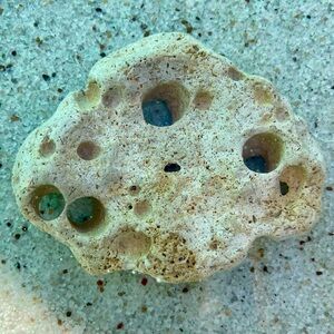 Colossal Natural Hag Stone Beach Stone